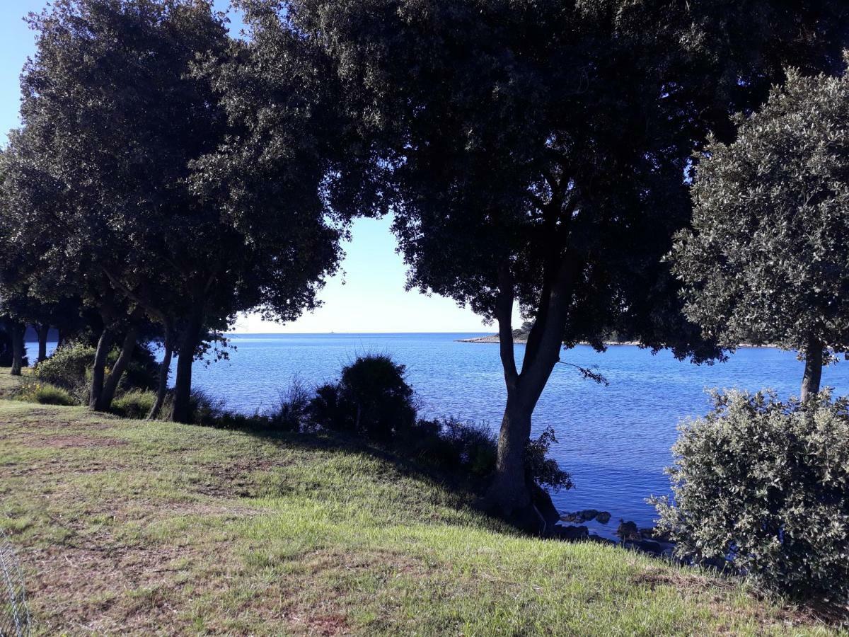 Grand Veles Camp 3* Banjole