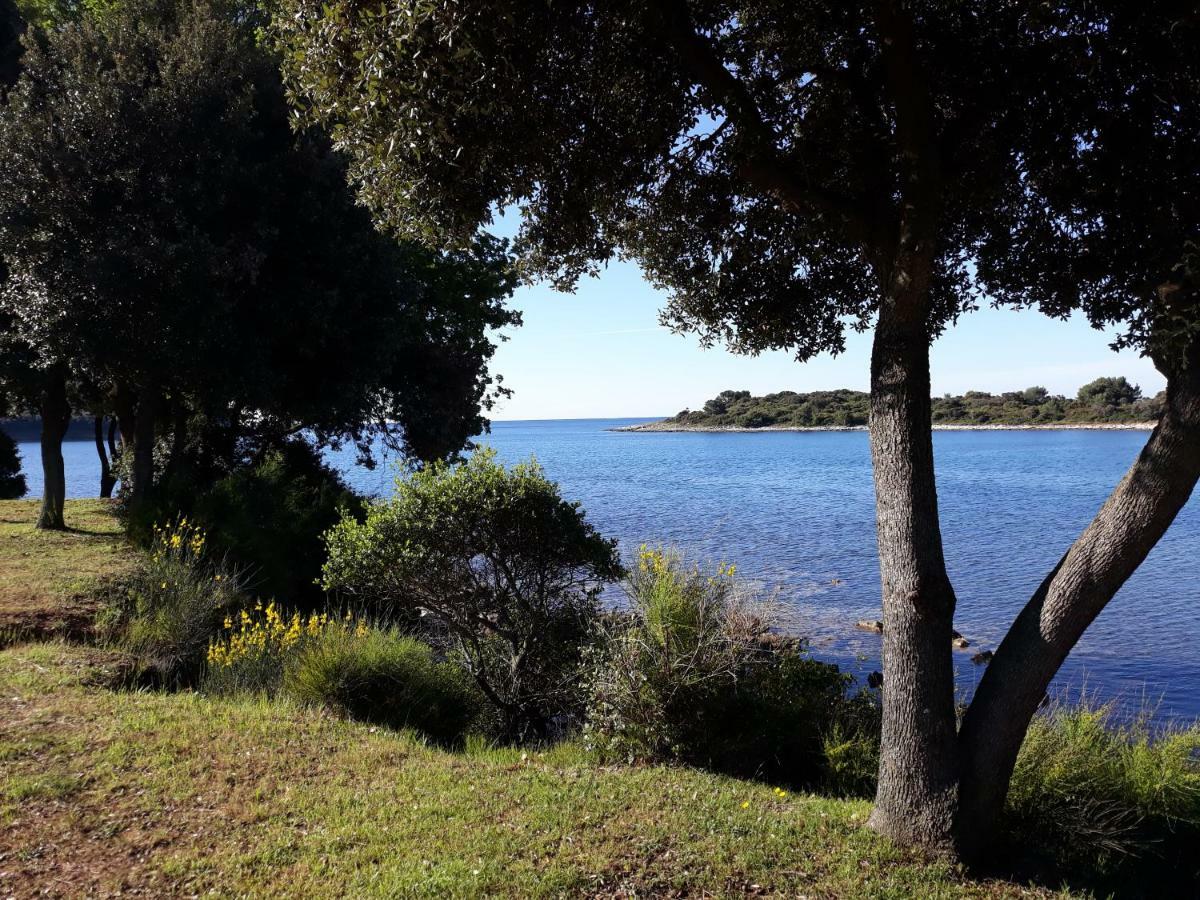 Ferienpark Grand Veles Camp Banjole