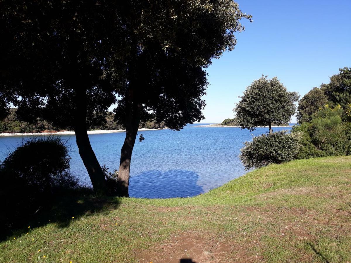 Grand Veles Camp