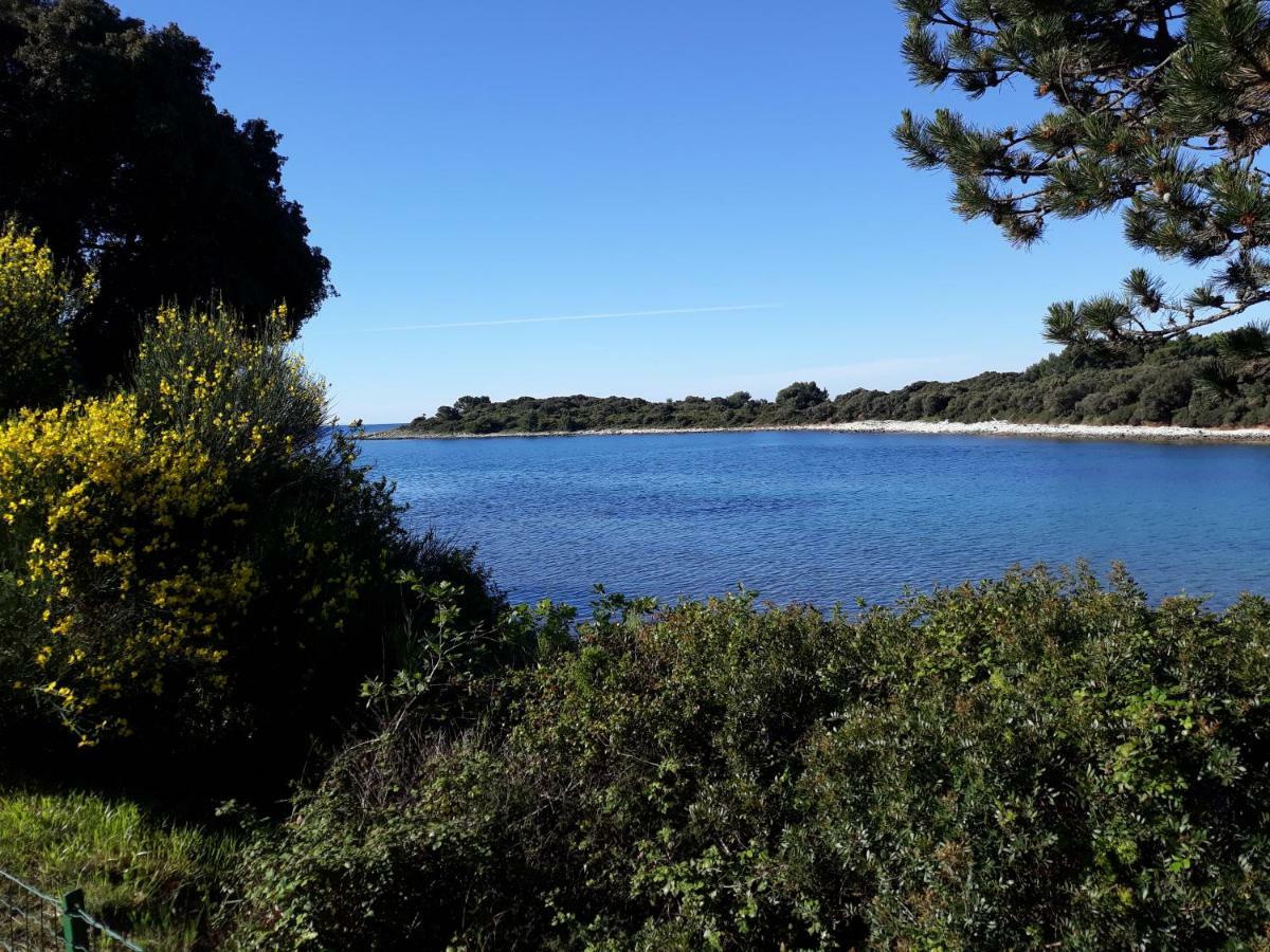 Grand Veles Camp